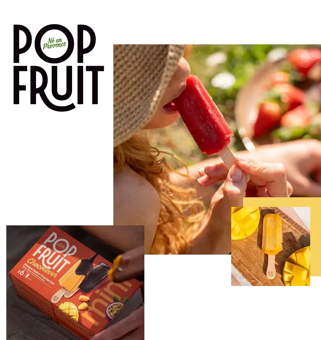 Pop Fruit sorbet chocolat fruit bâtonnet Alfagel