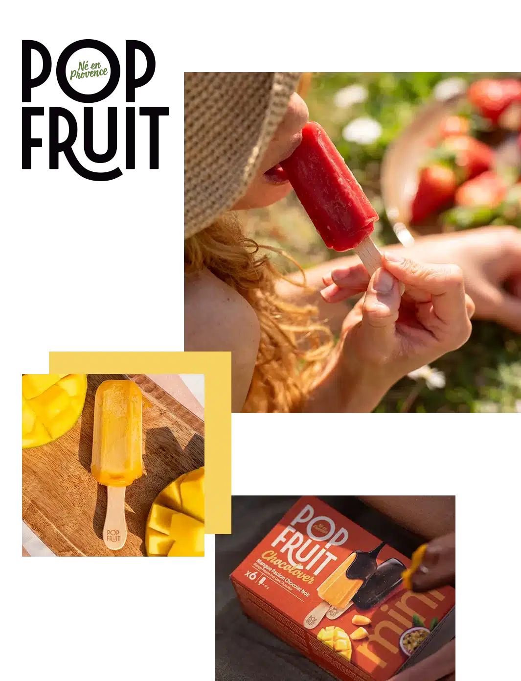 Pop Fruit sorbet 100% fruit bâtonnet chocolat Alfagel